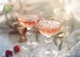 Champagne Cocktail recipe