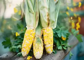 Grilled Corn with Cilantro-Lime Butter recipe