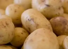 Potato bread (farls) with leeks and bacon recipe