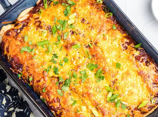 Stashcook | Cranberry Turkey Enchiladas