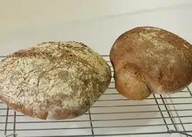 Basic No Knead Bread recipe