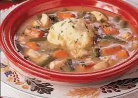 Turkey Stew with Dumplings recipe