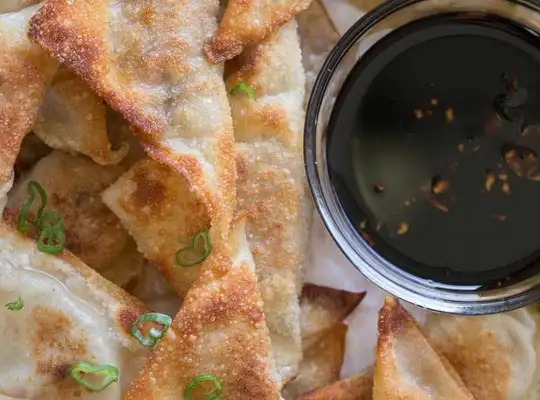 Stashcook | Pork Potstickers